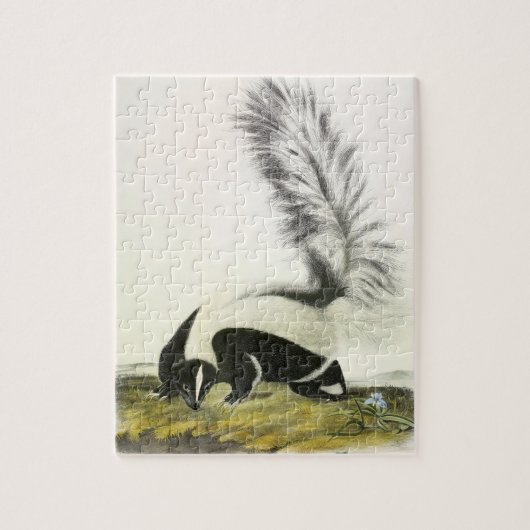 Hooded Skunk of Large-tailed Skunk van Audubon Legpuzzel (Verticaal)