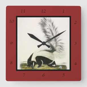 Hooded Skunk of Large-tailed Skunk van Audubon Vierkante Klok