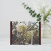 Hoodie Mushroom Briefkaart (Staand voorkant)