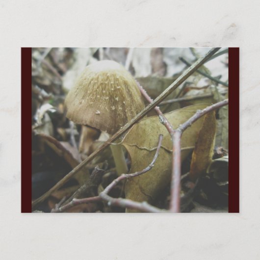 Hoodie Mushroom Briefkaart (Voorkant)