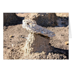 Hoodoo, San Juan Badlands