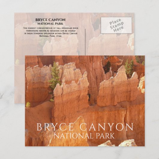 Hoodos of Bryce Canyon National Park Briefkaart (Voorkant / Achterkant)