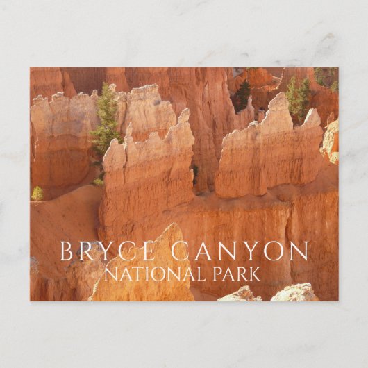 Hoodos of Bryce Canyon National Park Briefkaart (Voorkant)