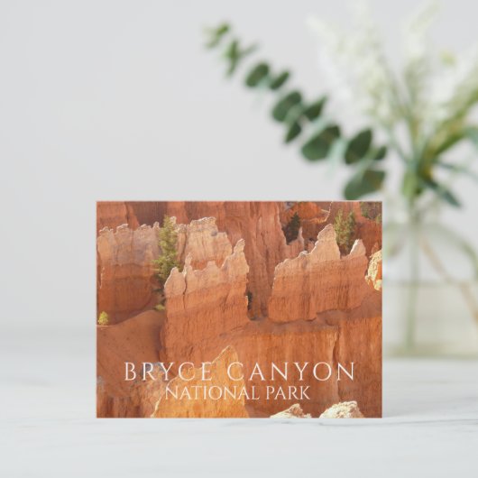 Hoodos of Bryce Canyon National Park Briefkaart (Staand voorkant)