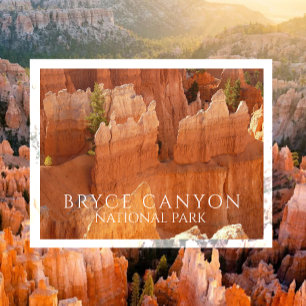 Hoodos of Bryce Canyon National Park Briefkaart