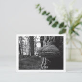 Hoof Fungus Briefkaart (Staand voorkant)