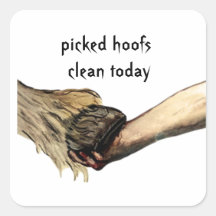 Hoof in hand geplukte hoeven schoon vandaag