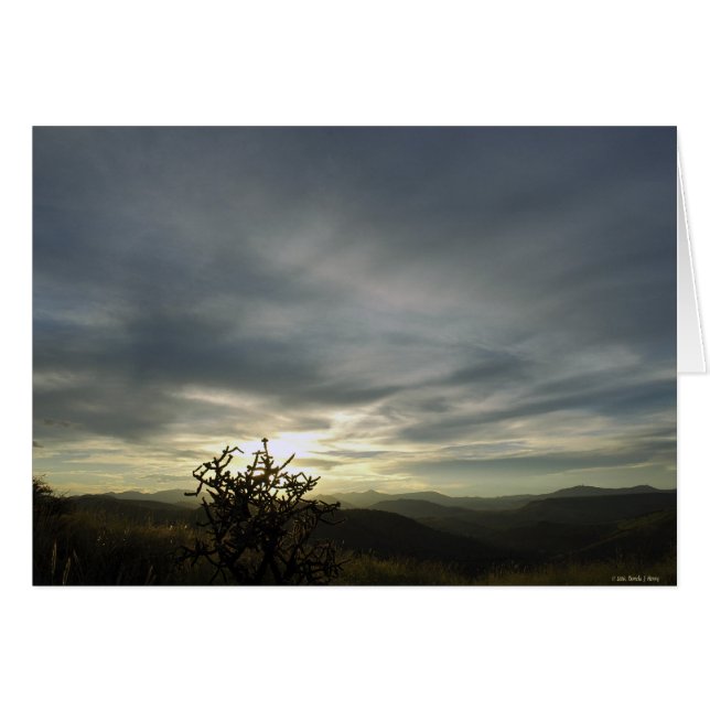 HOOFD + AARDE (Voorkant Horizontaal)