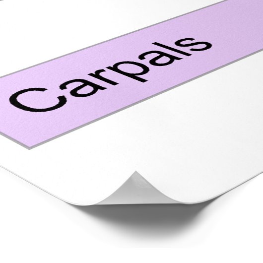 Hoofd botdivisie Grafiek rechts Poster (Hoek)