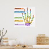 Hoofd botdivisie Grafiek rechts Poster (Keuken)