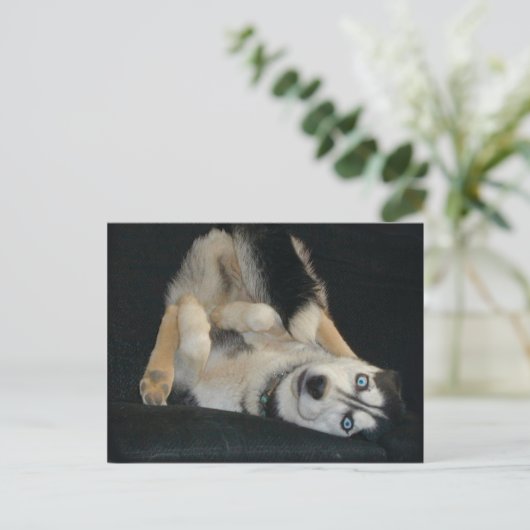 Hoofd boven Briefkaarten (Staand voorkant)