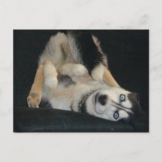 Hoofd boven Briefkaarten (Voorkant)