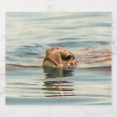 Hoofd boven de waterschildpad bier etiket (Enkel label)