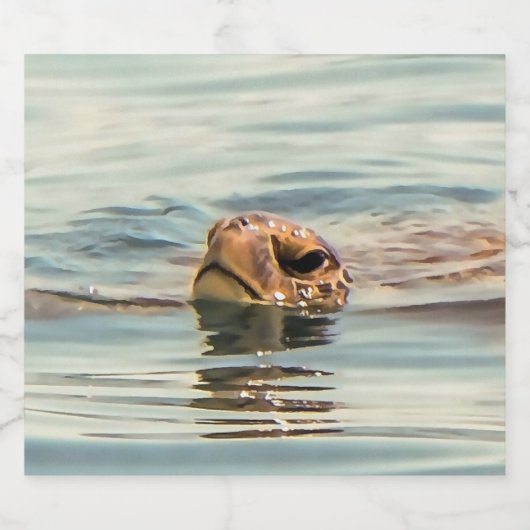 Hoofd boven de waterschildpad bier etiket (Enkel label)