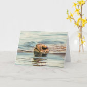 Hoofd boven de waterschildpad kaart (Gele Bloem)