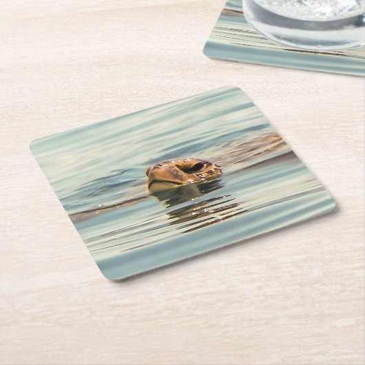 Hoofd boven de waterschildpad kartonnen onderzetters (Schuin)