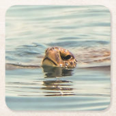 Hoofd boven de waterschildpad kartonnen onderzetters (Voorkant)
