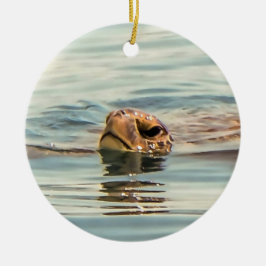 Hoofd boven de waterschildpad keramisch ornament