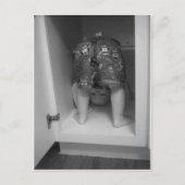 Hoofd boven hazelfotografie briefkaart (Voorkant)