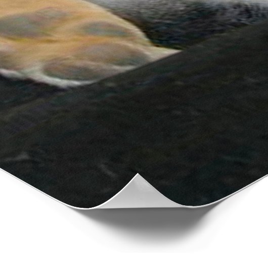 Hoofd boven Poster van hoorzittingen (Hoek)