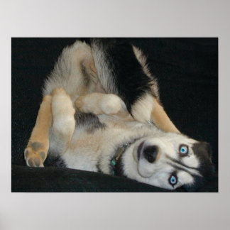 Hoofd boven Poster van hoorzittingen