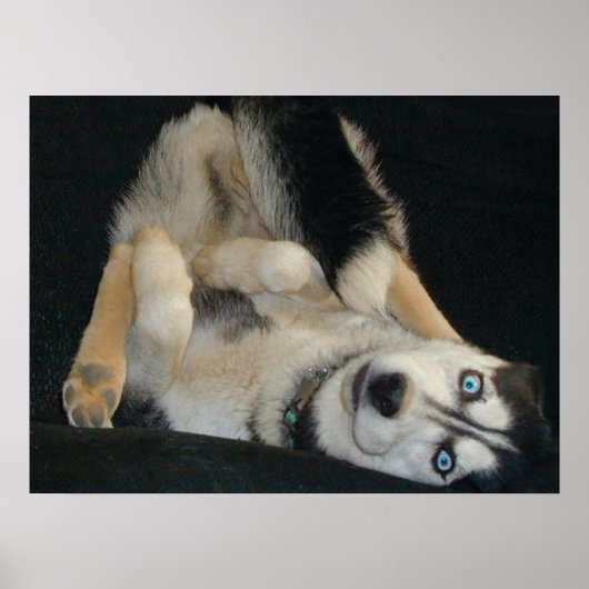 Hoofd boven Poster van hoorzittingen (Voorkant)