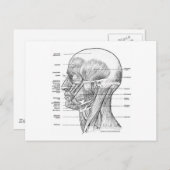 HOOFD- EN NECKANATOMIE T SHIRTS EN GIFTS BRIEFKAART (Voorkant / Achterkant)