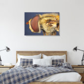 Hoofd en samengesteld oog van een zweefvlieg canvas afdruk (Insitu (Slaapkamer))