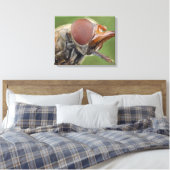 Hoofd en samengesteld oog van een zwever Fly 2 Canvas Afdruk (Insitu (Slaapkamer))