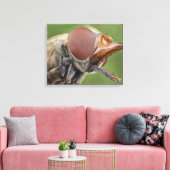 Hoofd en samengesteld oog van een zwever Fly 2 Canvas Afdruk (Insitu (Woonkamer))