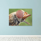 Hoofd en samengesteld oog van een zwever Fly 2 Canvas Afdruk (Insitu (Houten vloer))