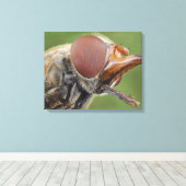 Hoofd en samengesteld oog van een zwever Fly 2 Canvas Afdruk (Insitu (Houten vloer))