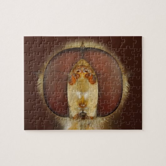 Hoofd- en samengestelde ogen van een heupvlucht legpuzzel (Horizontaal)