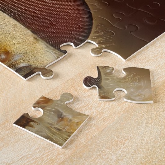 Hoofd- en samengestelde ogen van een heupvlucht legpuzzel (Zijkant)