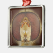 Hoofd- en samengestelde ogen van een heupvlucht metalen ornament (Links)