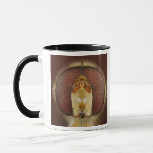 Hoofd- en samengestelde ogen van een heupvlucht mok (Links)