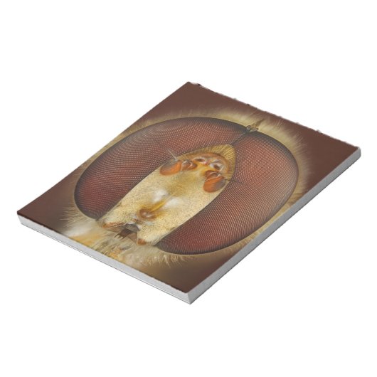 Hoofd- en samengestelde ogen van een heupvlucht notitieblok (Linkerzijde)