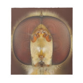 Hoofd- en samengestelde ogen van een heupvlucht notitieblok (Voorkant)