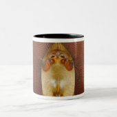 Hoofd- en samengestelde ogen van een heupvlucht tweekleurige koffiemok (Center)