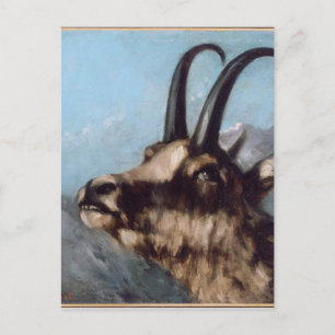 Hoofd Gazelle van Gustave Courbet Briefkaart