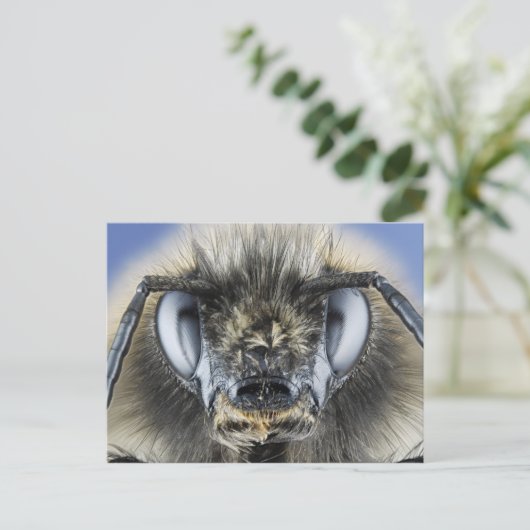 Hoofd hommel briefkaart (Staand voorkant)