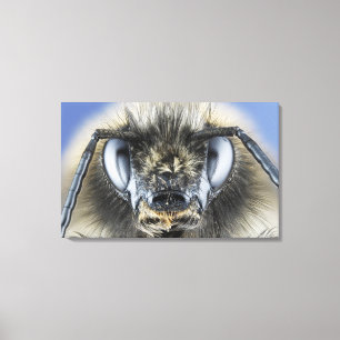 Hoofd hommel canvas afdruk