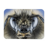 Hoofd hommel magneet (Horizontaal)
