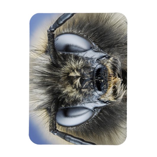 Hoofd hommel magneet (Verticaal)