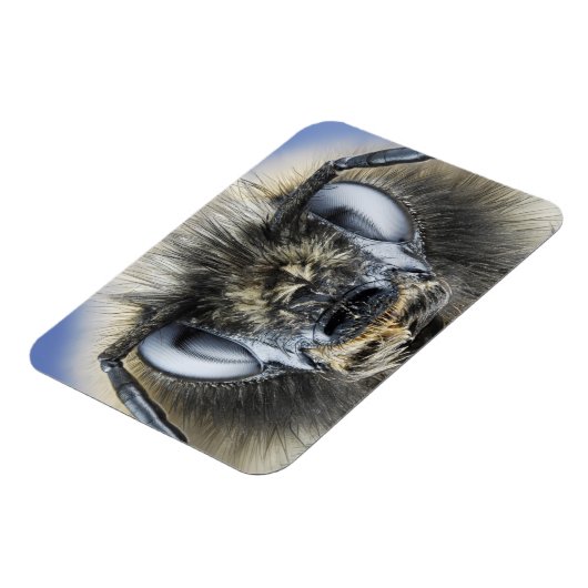 Hoofd hommel magneet (Linkerzijde)