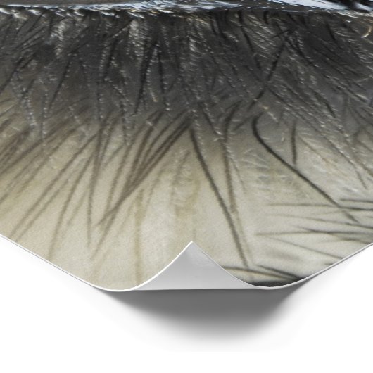 Hoofd hommel poster (Hoek)