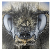 Hoofd hommel tegeltje (Voorkant)