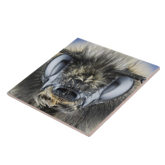 Hoofd hommel tegeltje (Zijkant)