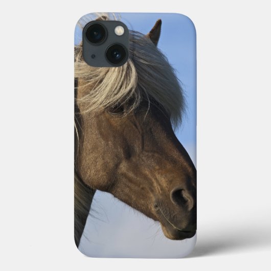 Hoofd IJslands paard, IJsland Case-Mate iPhone Case (Achterkant)