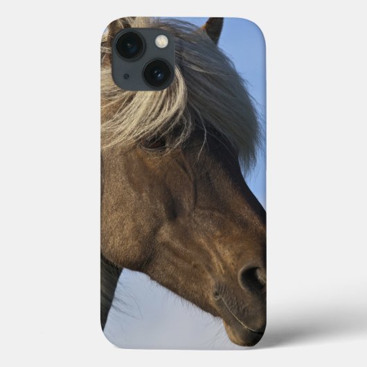 Hoofd IJslands paard, IJsland Case-Mate iPhone Case (Achterkant)